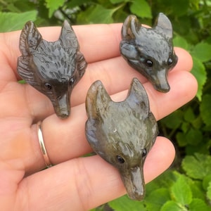 Könnte beinhalten: Drei geschnitzte Labradorit-Fuchs-Kopf-Figuren. Die Fuchsköpfe sind eine Mischung aus Dunkelgrau und Braun mit schwarzen Augen. Die Schnitzereien sind detailliert und zeigen die Merkmale des Fuchses. Die Figuren werden in einer Hand gehalten.