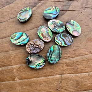 8mm-25mm 10pcs Natural rainbow abalone shell oval loose beads