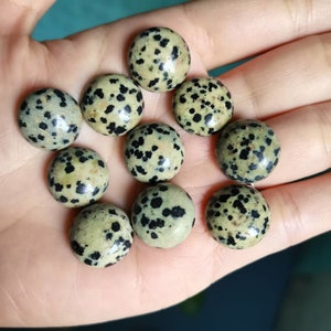 May include: A collection of ten round, polished dalmatian jasper stones. The stones are a light green color with black spots.
