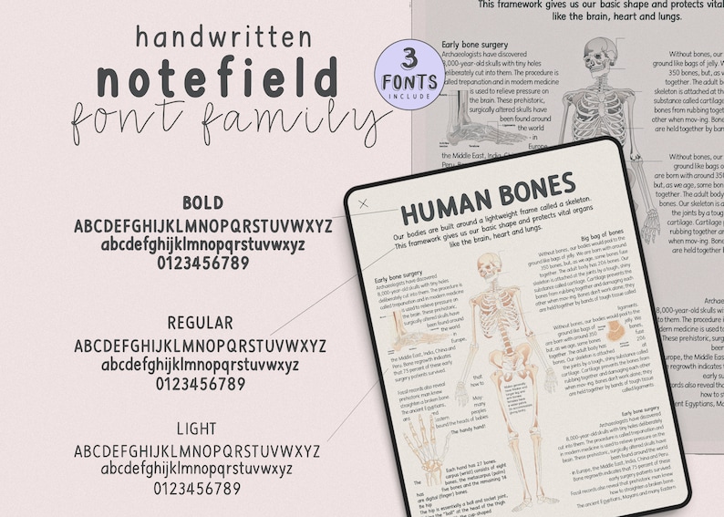 Note field Handwritten font family bundle for digital planning and note-taking, Neat font for study notes, collage notes