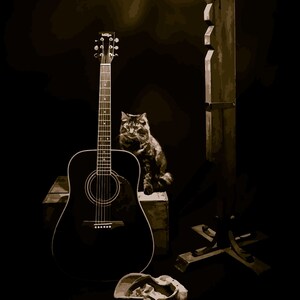 Può includere: Chitarra acustica nera con un gatto e una lanterna. La chitarra ha buca e corde chiare. A destra c'è un lampione di legno. Un cappello è appoggiato a terra. Scena scura.