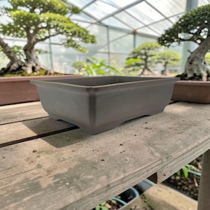 Può includere: Un vaso rettangolare per bonsai con finitura grigio scuro opaco. Il contenitore presenta un'apertura ampia con un bordo liscio leggermente svasato e una base solida. La superficie esterna è di colore uniforme e dal design essenziale.