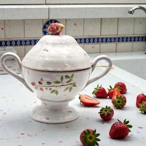 Peut inclure: Un bol de service en céramique blanche avec un couvercle, orné de motifs floraux et de papillons. Le couvercle est surmonté d'un bouton en forme de fraise. Des fraises fraîches sont éparpillées autour du bol.
