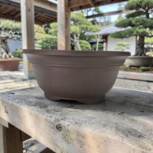 May include: A matte brown ceramic bonsai pot with a wide, circular rim and a smooth, curved body. The container features a subtle horizontal ridge detail below the rim and rests on small, integrated feet, showcasing a clean, functional design.