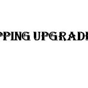 Shipping Upgrade DHL