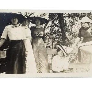 Gibson Girls Photograph, Ladies In Big Hats Picnic Postcard, Picnic Photos, Black And White 1900&#39;s