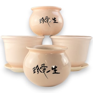 Vintage Baby Pink Ceramic Planter Set: Chinese Character Decor