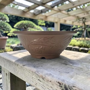 May include: A round, light brown ceramic bonsai pot featuring a subtle, embossed dragon motif wrapping around the exterior. The bowl has a wide, flared rim and a smooth, matte finish, showcasing a classic design for plant cultivation.