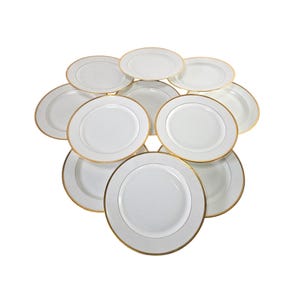 Antique Haviland Limoges Luncheon Plates: Orsay Gold Rimmed French China, Set of 11