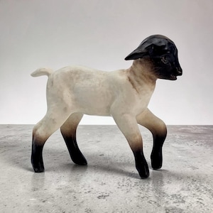 May include: A standing figurine of a young lamb with a cream-coloured body and a solid black head. The lamb features black colouring on the lower portions of all four legs, a short tail, and a smooth, matte finish throughout the entire animal sculpture.