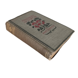Prisoners of Hope Book by Mary Johnson A Tale of Colonial Virginia 1900