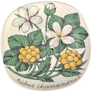 Puede incluir: Un plato redondo de cerámica blanca con una ilustración botánica de camemoros, flores y hojas. El diseño incluye bayas amarillas, flores blancas con acentos rosas y hojas verdes. El texto "rūbus chamaemōrus" está escrito en cursiva.