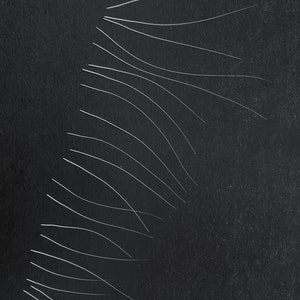 Könnte beinhalten: Eine Ansammlung dünner, weißer, gebogener Linien vor einem dunkelgrauen Hintergrund. Die Linien variieren in Länge und Krümmung und erzeugen ein dynamisches visuelles Muster. Das Bild hat eine minimalistische Ästhetik.