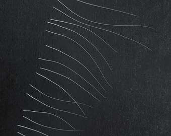Natural Cat Whiskers, White Cat Hair