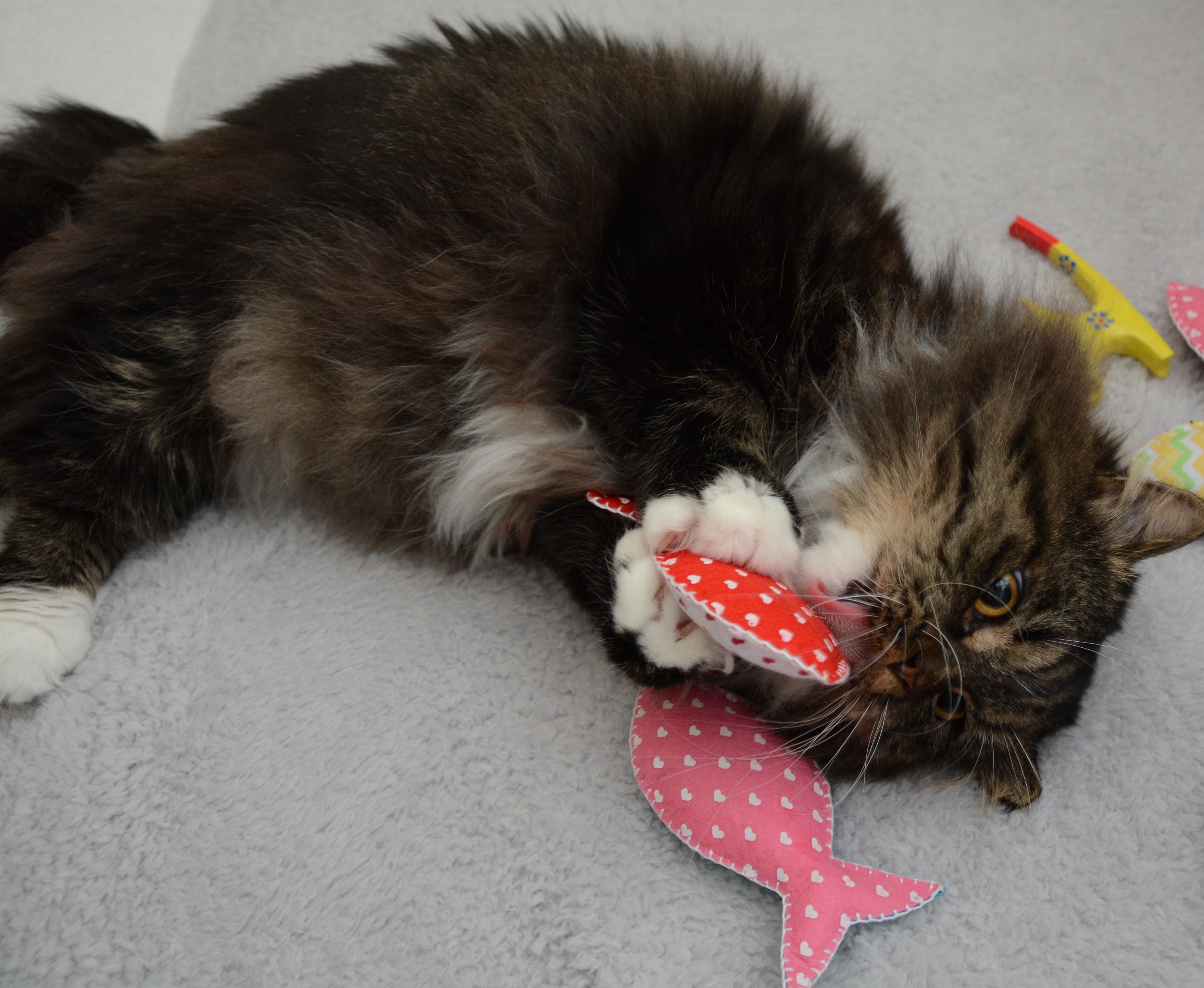 Catnip Fish Organic Catnip Toys Fish Cat Toys Etsy