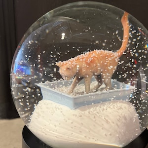 Kitty Litter Snow Globe Etsy UK