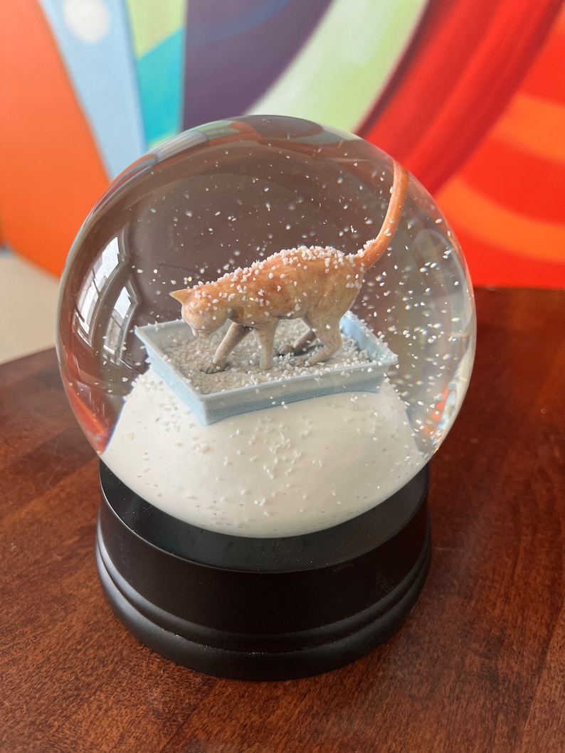 Kitty Litter Snow Globe Etsy