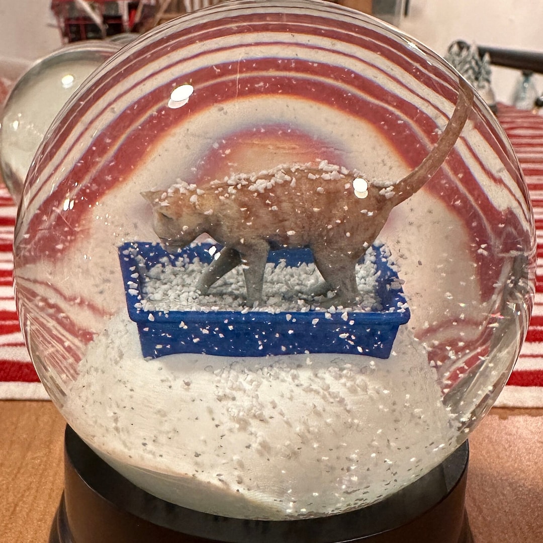 Personalized Orange Kitty Litter Snow Globe Etsy