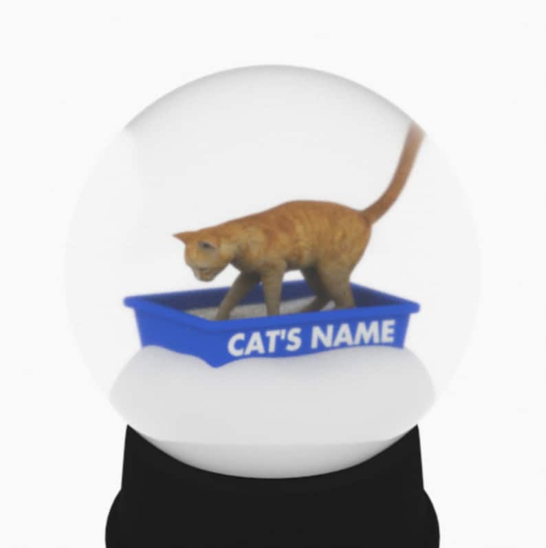 Personalized Orange Kitty Litter Snow Globe image 2