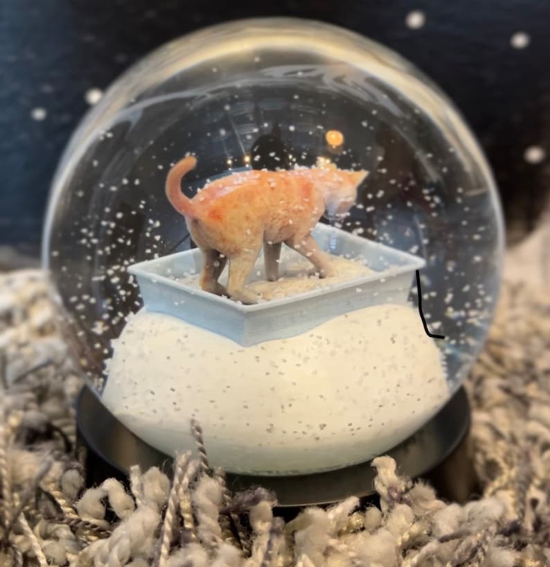Kitty Litter Snow Globe Etsy