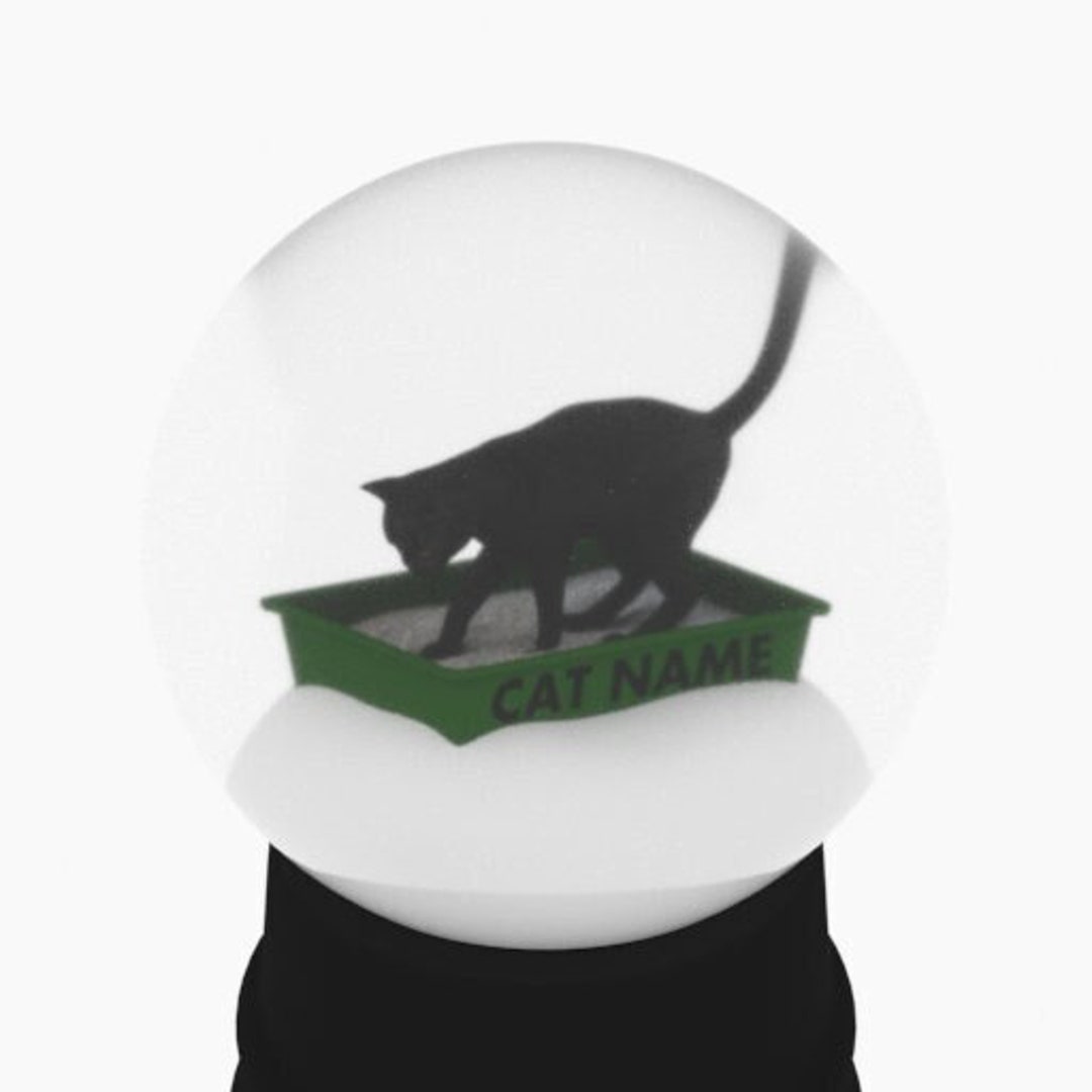 Personalized Black Kitty Litter Snow Globe Etsy