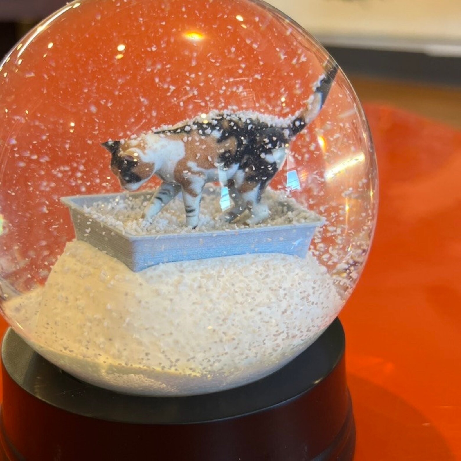 Calico Kitty Litter Snow Globe Etsy India