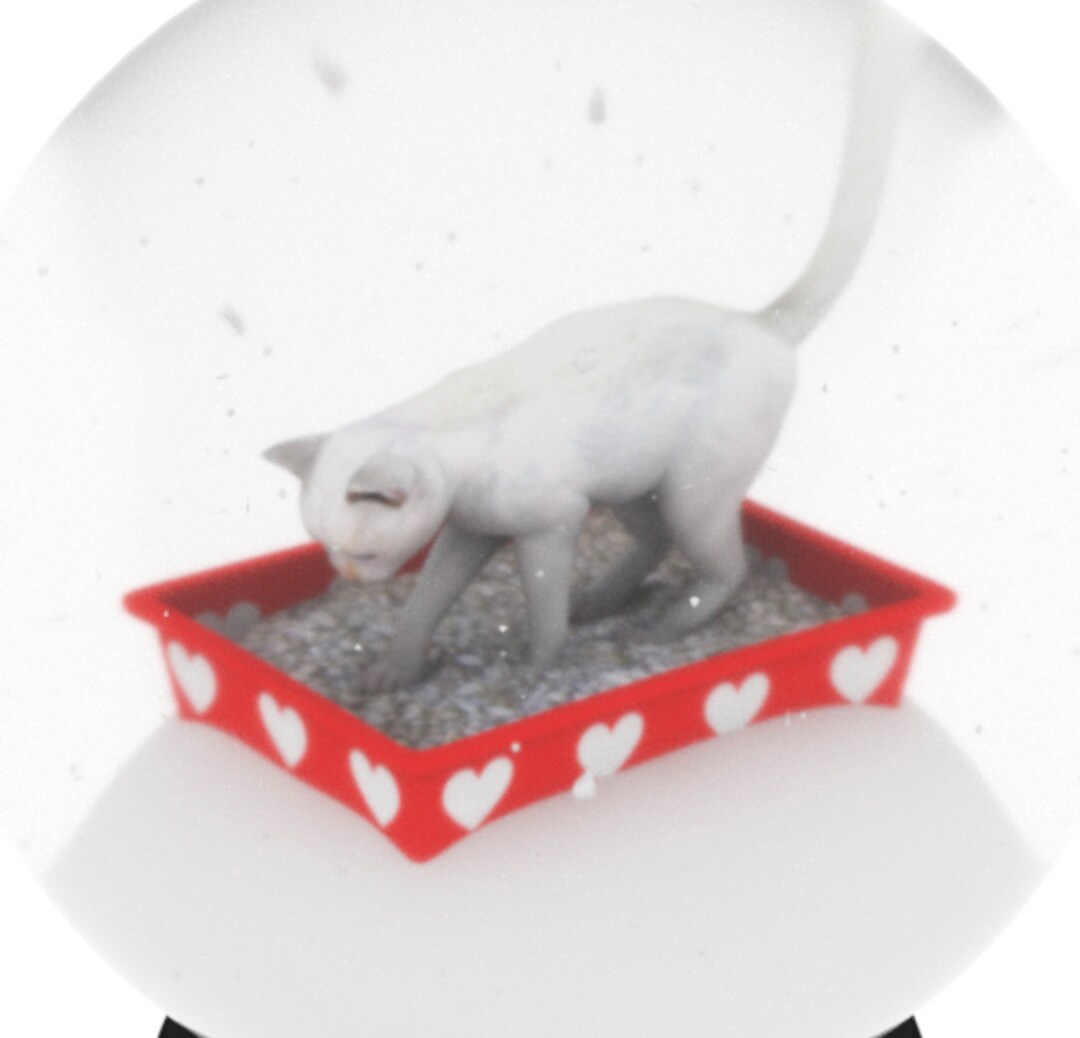 Valentines Kitty Litter Snow Globe Etsy