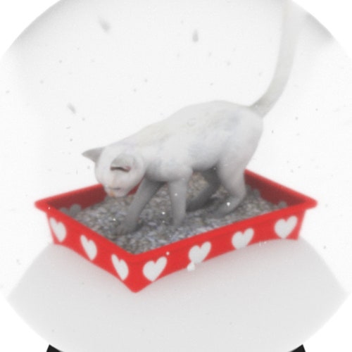 Gray Kitty Litter Snow Globe Etsy