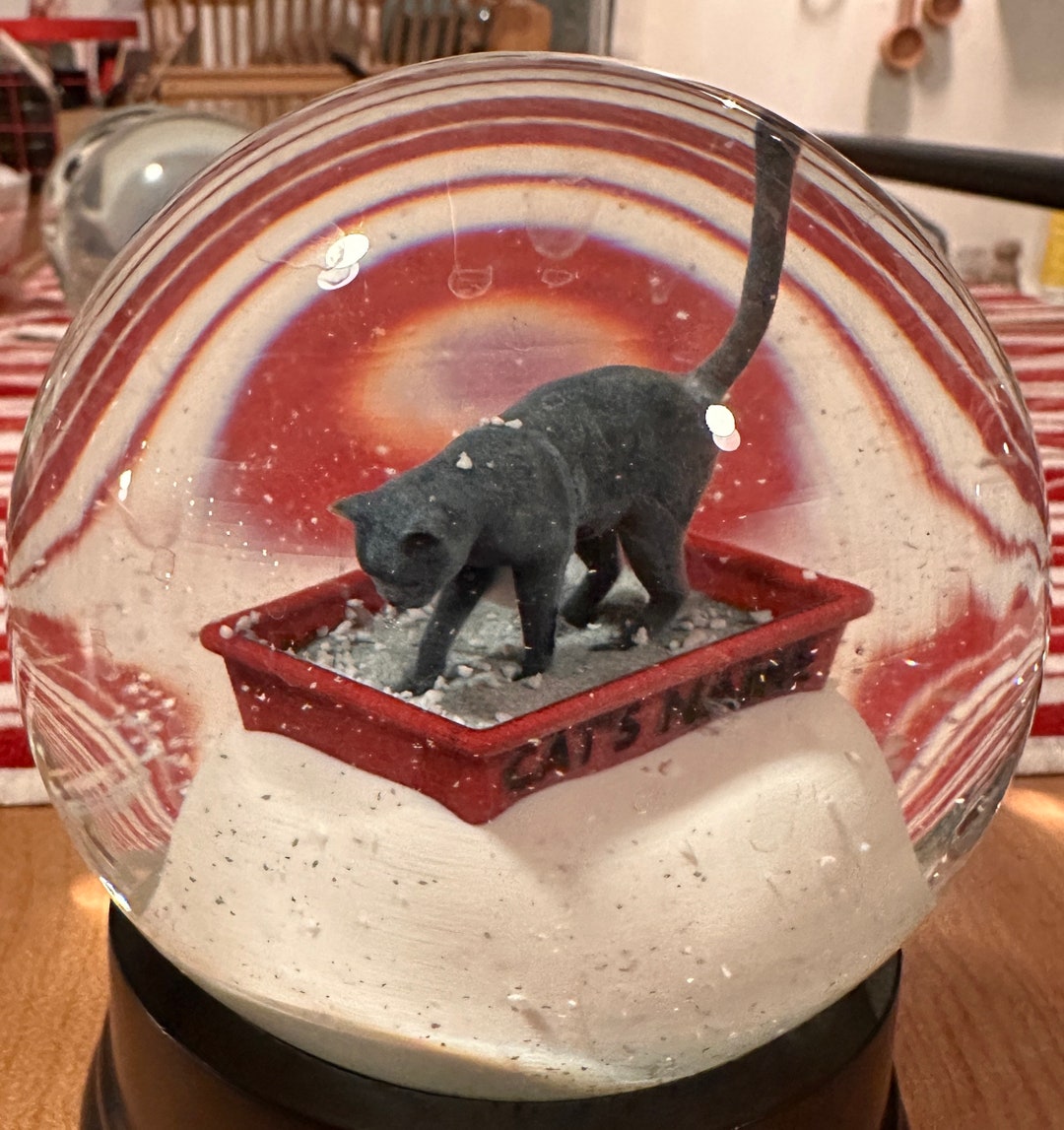 Personalized Gray Kitty Litter Snow Globe Etsy