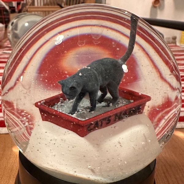 Kitty Litter Snow Globe Etsy