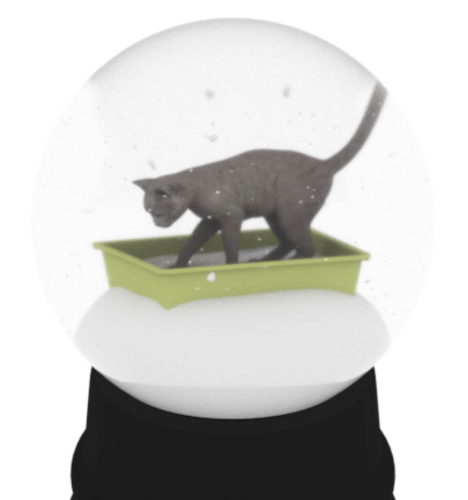 Gray Kitty Litter Snow Globe Etsy