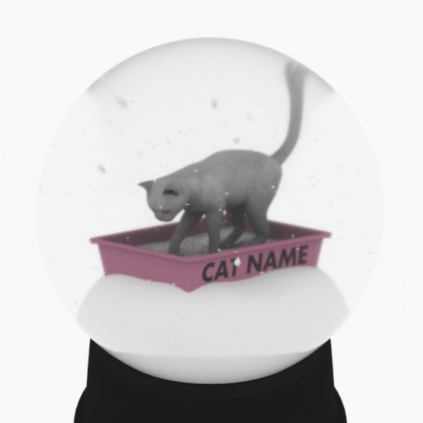 Kitty Litter Snow Globe Etsy