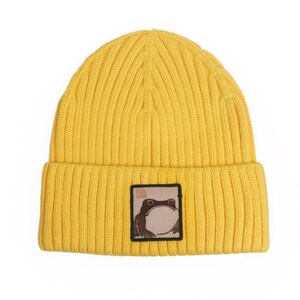 May include: A yellow knitted beanie with a brown frog patch. The patch has the text "Little Frog Studio" on it.