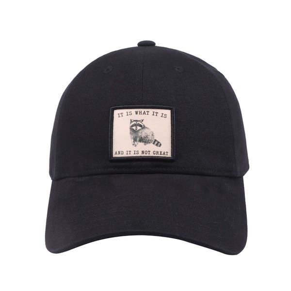 Raccoon Embroidered Baseball Cap: Sarcastic Humor, Cotton Twill