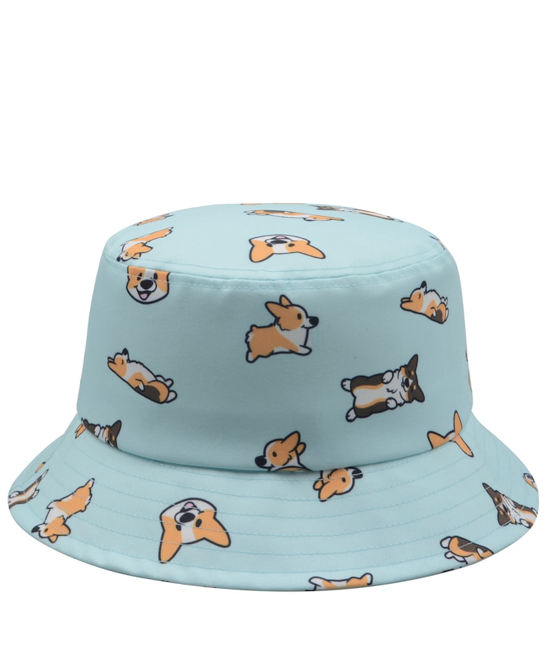 May include: A light blue bucket hat with a pattern of cartoon corgis. The corgis are in various poses, including running, lying down, and sitting.
