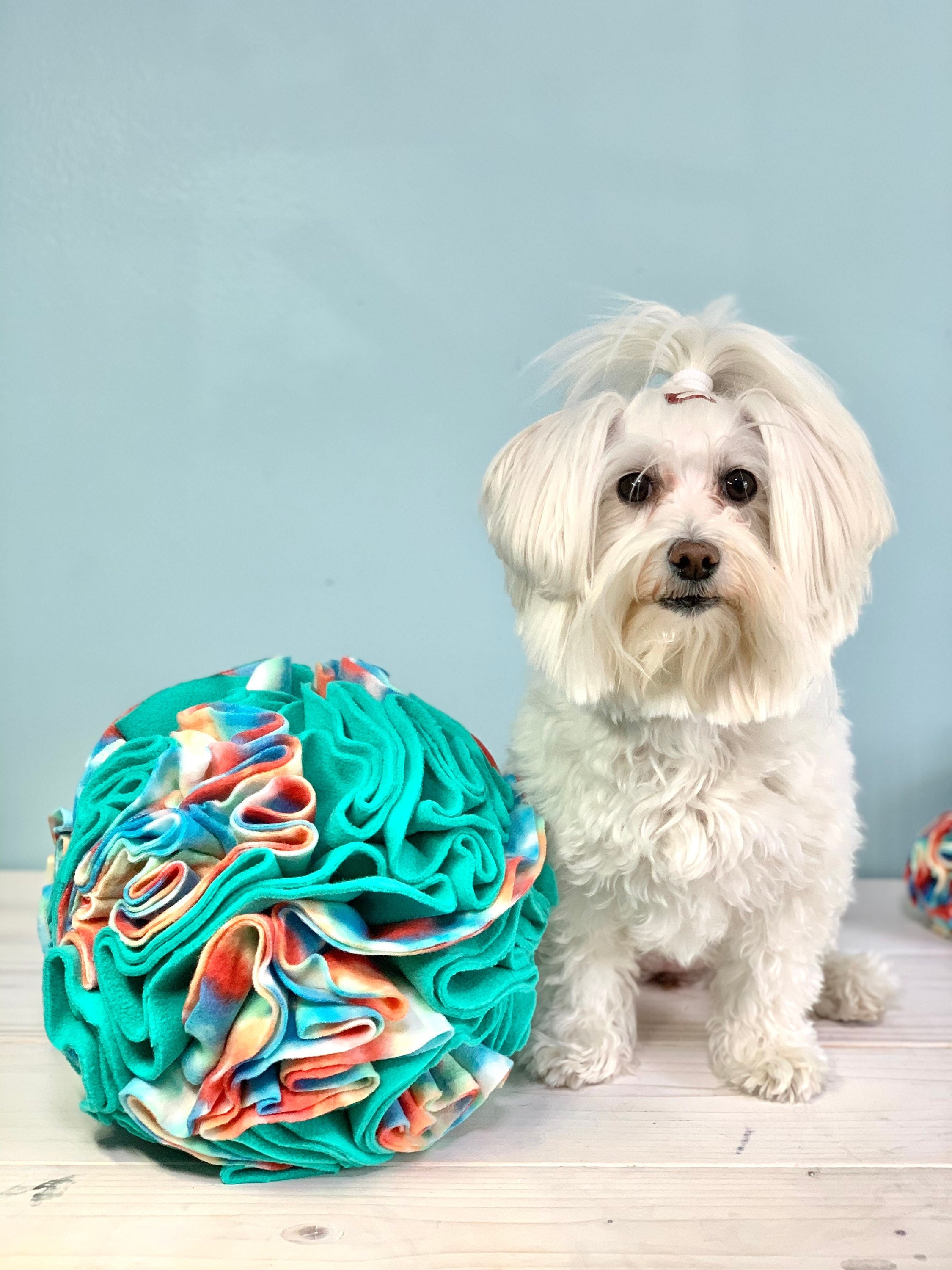 How to make a DIY snuffle ball 
