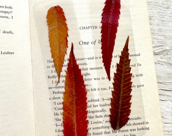 Autumn Leaves Bookmark, Unique Bookmarks, Book Lover Gift, Cottagecore gift, Nature gift, Fall gift