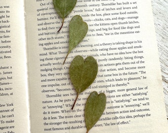 Coeur d'eucalyptus, marque-page fleurs pressées, marque-pages uniques, cadeau pour amoureux des livres, cadeau Cottagecore