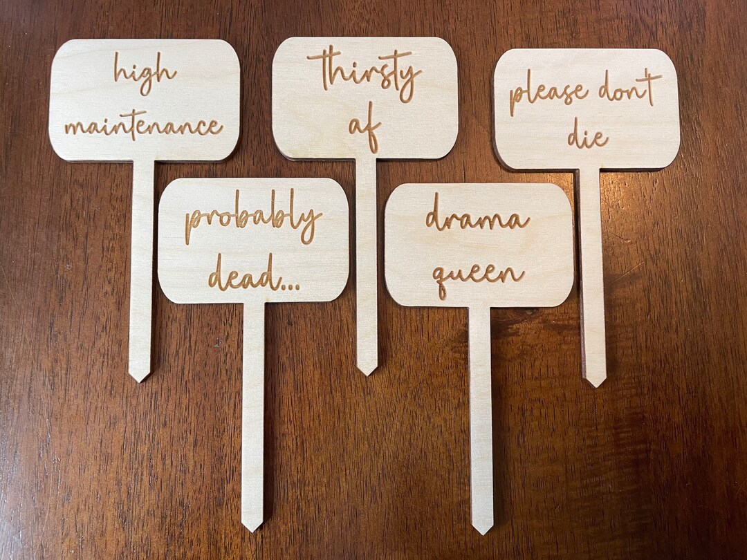 Funny Garden Stakes Wood Plant Signs High Maintenance Etsy