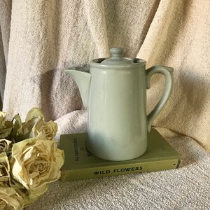 May include: A pale green ceramic teapot with a lid and handle. The teapot rests on a green book titled "Wild Flowers". Dried roses are in the foreground. The background is a light beige fabric.