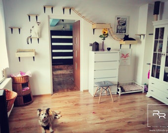 cat room shelves
