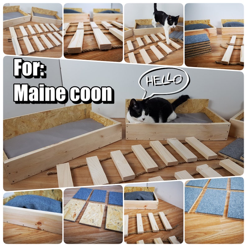 Maine coon cat cat lover gift cat bed cat furniture cat Etsy