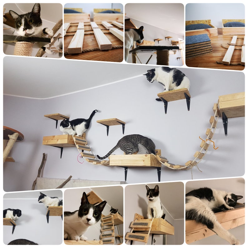 Maine coon big cat Cat wall shelves modern cat furniture Etsy