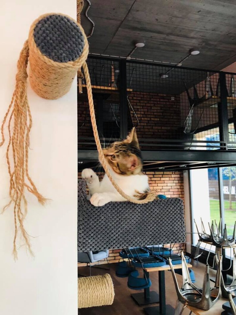 Floating sisal post steps cat scratching post cat scratch Etsy