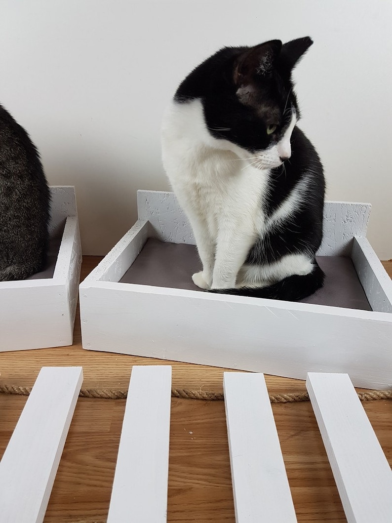 Box Cat Wall Modern Cat Furniture Cat Box Cat Wall Etsy