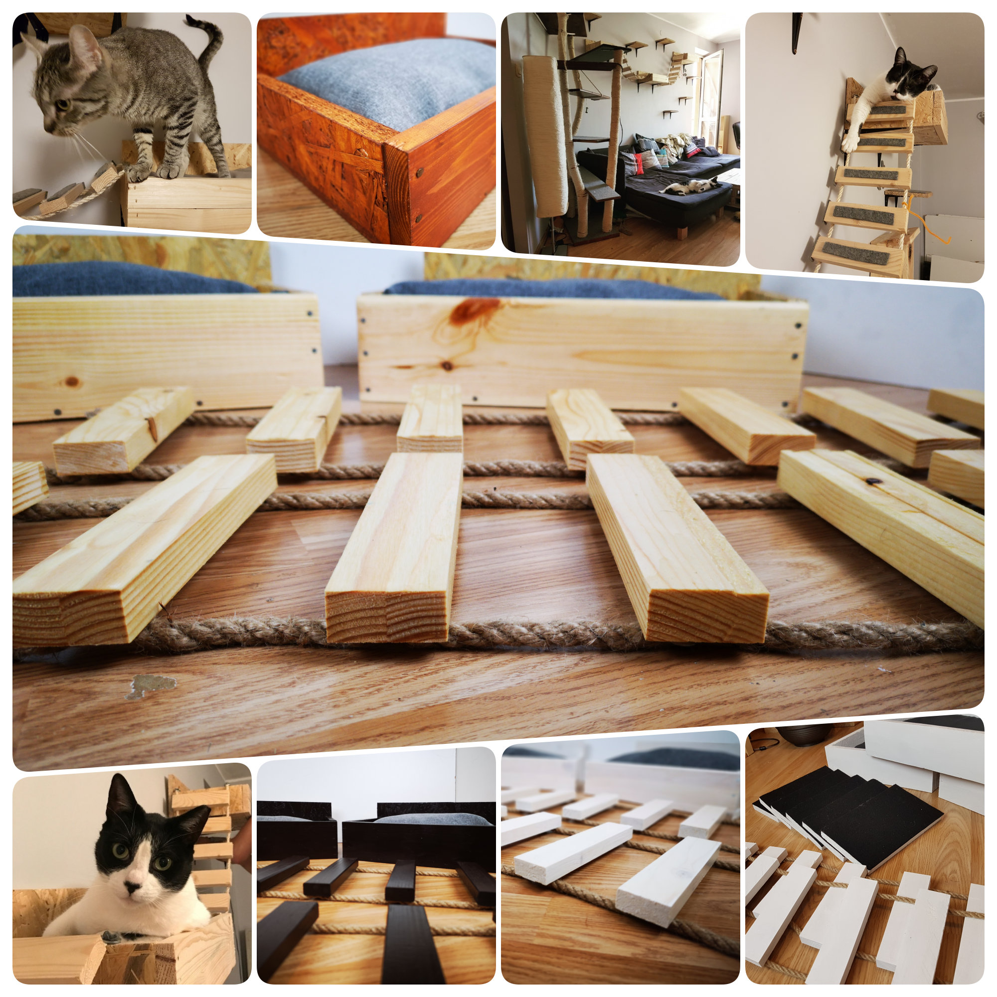 Maine coon big cat Cat wall shelves modern cat furniture Etsy