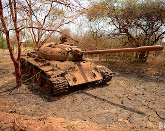 May include: A rusty, abandoned tank sits in a dry, cracked field. The tank is covered in dirt and debris, and its barrel is pointing towards the sky. The tank is surrounded by trees and bushes.