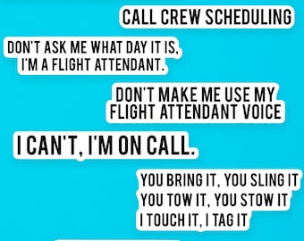 Autocollants drôles pour hôtesses de l'air | Cadeaux pour le personnel de cabine | SomeFlyStuff