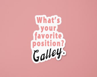 d'hôtesse de l'air de position d'office | SomeFlyStuff