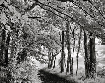 Black and White Landscape | Giclée Print | Fine Art | Moors | Dramatic Sky | Hiking | Wall Decor